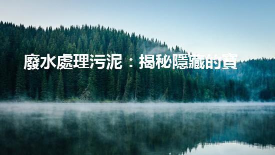 廢水處理污泥：揭秘隱藏的寶藏，你知道其中有什么驚人成分嗎？